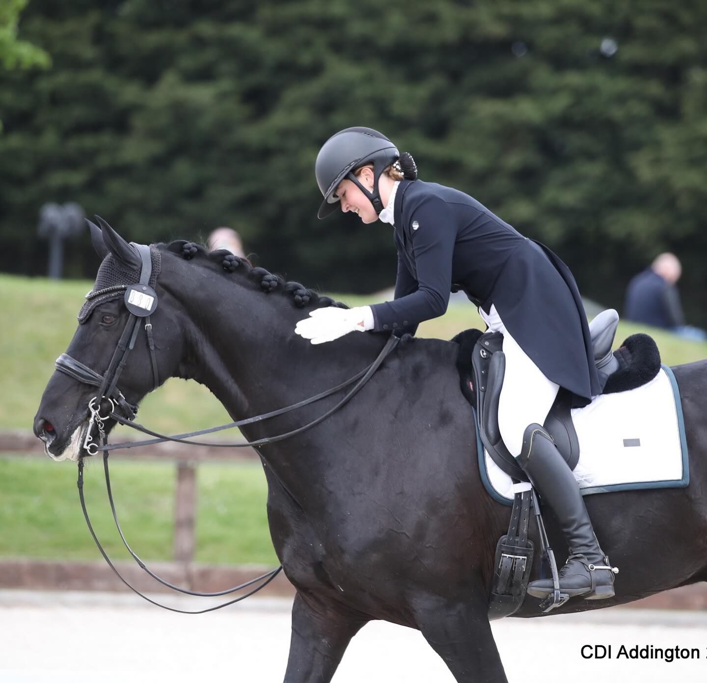 Training — Excellentie