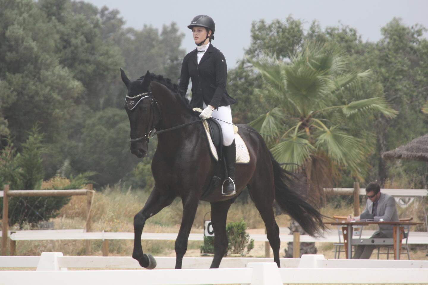Dressage Movement