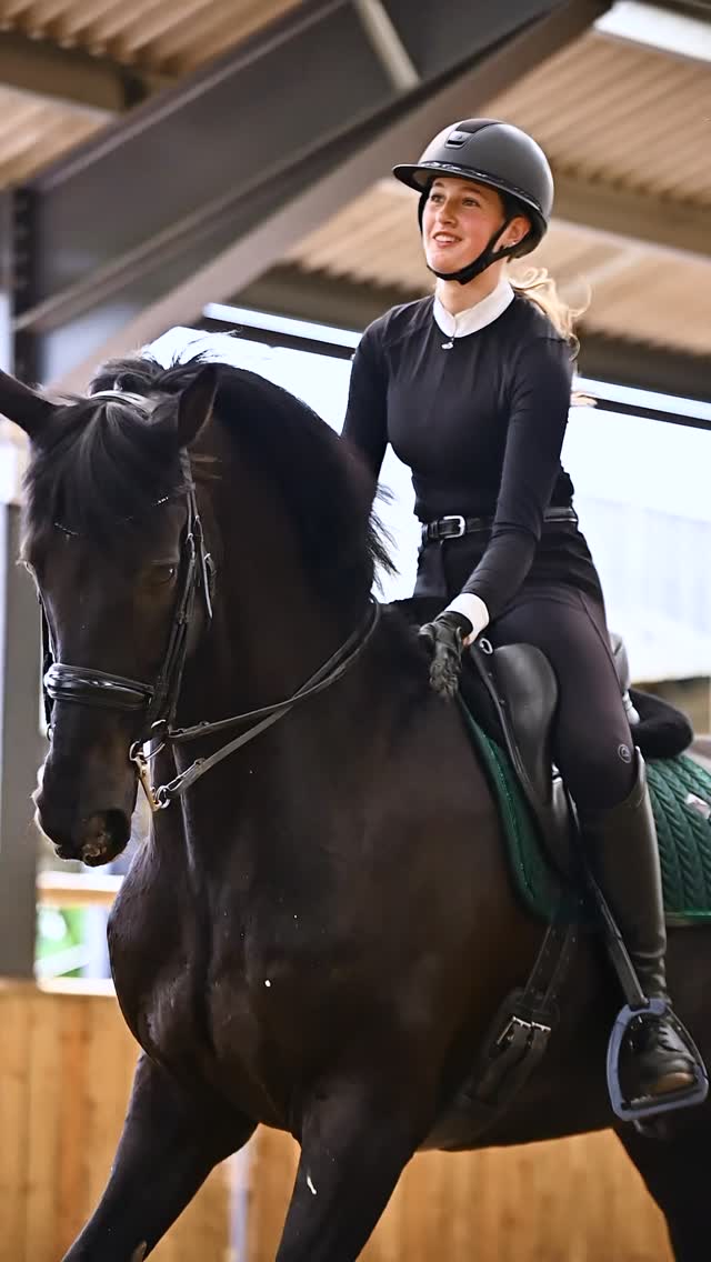 Nobre DP — Lusitano Stallion